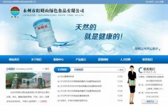 永州市*明山綠色食品有限公司網(wǎng)站定制平面設計案例作品