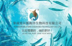 榮成愛*斯海洋生物科技有限公司網(wǎng)站建設(shè)新一代自助建站、智能建站系統(tǒng)