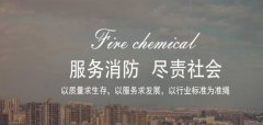 江西進賢*防化工實業(yè)有限公司網(wǎng)頁制作案例欣賞