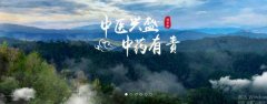 普洱淞*醫(yī)藥集團(tuán)有限公司網(wǎng)站建設(shè)新一代自助建站、智能建站系統(tǒng)