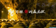 文山龍*酒業(yè)有限責任公司企業(yè)網(wǎng)站建設平面設計案例作品