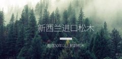 廣西貴港*嘉木業(yè)有限公司做網(wǎng)站營銷型案例作品