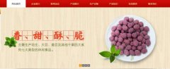 紅太*食品(榮成)有限公司制作網(wǎng)站新一代自助建站、智能建站系統(tǒng)